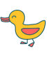 Duck